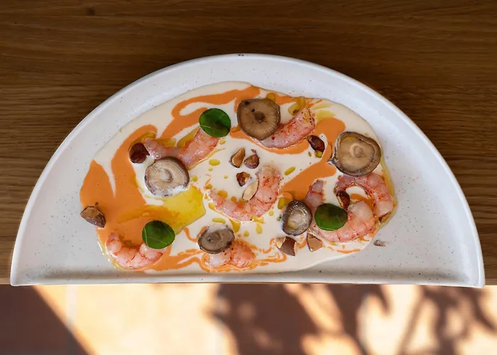 Les Roches Brunes Collioure