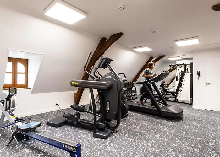 Hotel De Bourbon Grand Hotel Mercure Bourges